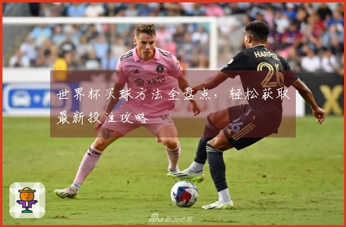 世界杯买球方法全盘点,轻松获取最新投注攻略