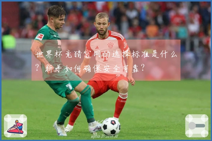 世界杯竞猜官网的选择标准是什么？新手如何确保安全可靠？
