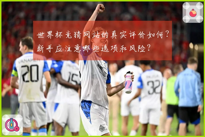 世界杯竞猜网站的真实评价如何？新手应注意哪些选项和风险？