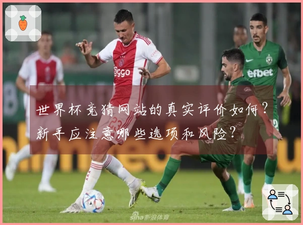 世界杯竞猜网站的真实评价如何？新手应注意哪些选项和风险？