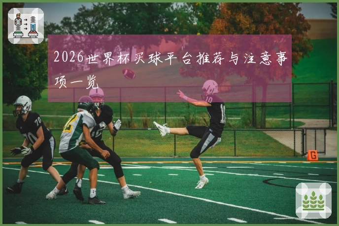 2026世界杯买球平台推荐与注意事项一览