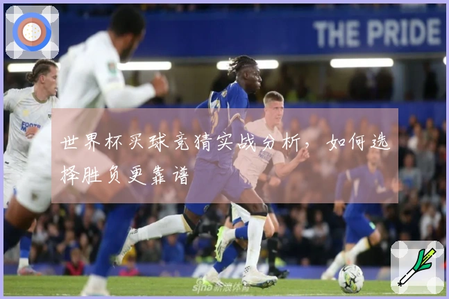 世界杯买球竞猜实战分析，如何选择胜负更靠谱