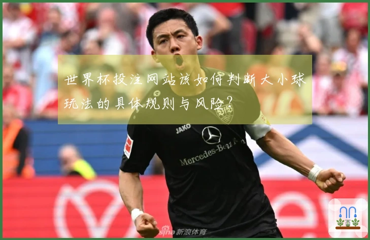 世界杯投注网站该如何判断大小球玩法的具体规则与风险？