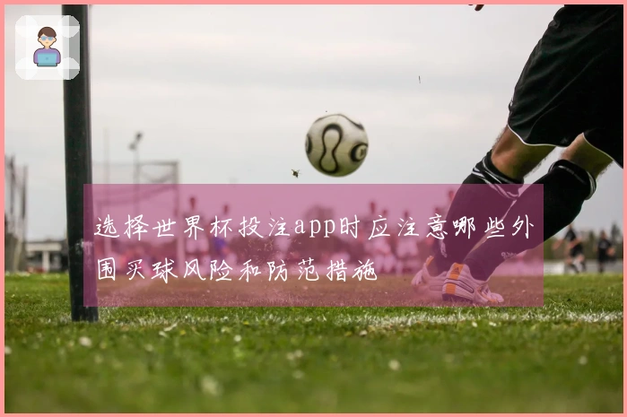 选择世界杯投注app时应注意哪些外围买球风险和防范措施