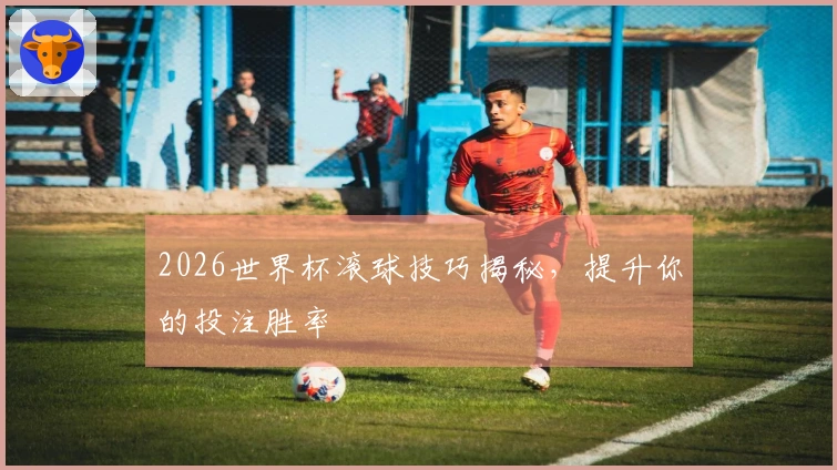 2026世界杯滚球技巧揭秘，提升你的投注胜率