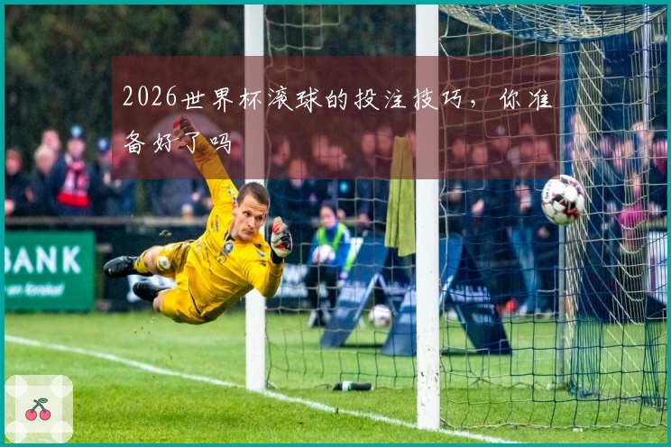 2026世界杯滚球的投注技巧,你准备好了吗