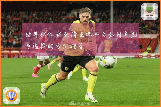 世界杯体彩竞猜正规平台如何判别与选择的方法指导