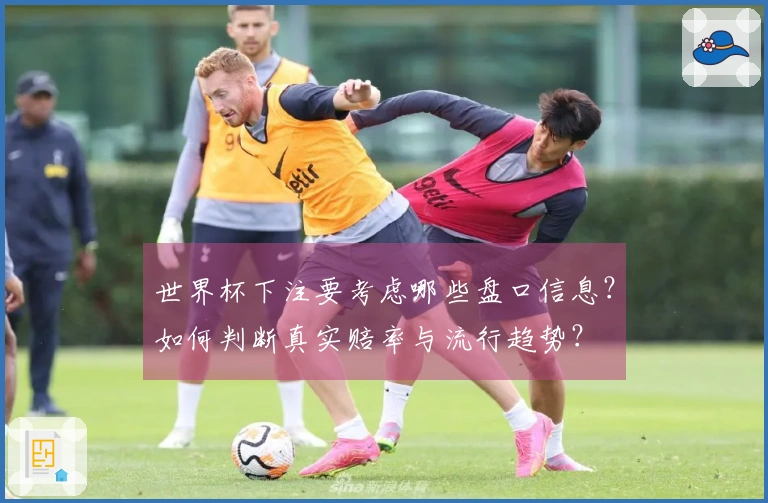世界杯下注要考虑哪些盘口信息？如何判断真实赔率与流行趋势？