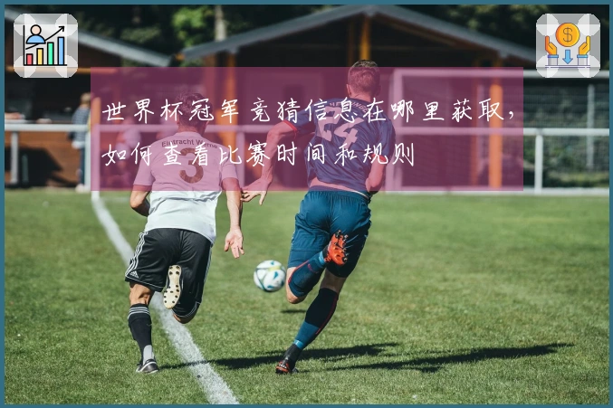 世界杯冠军竞猜信息在哪里获取，如何查看比赛时间和规则