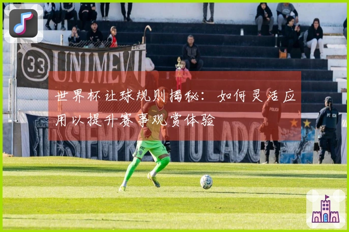 世界杯让球规则揭秘：如何灵活应用以提升赛事观赏体验