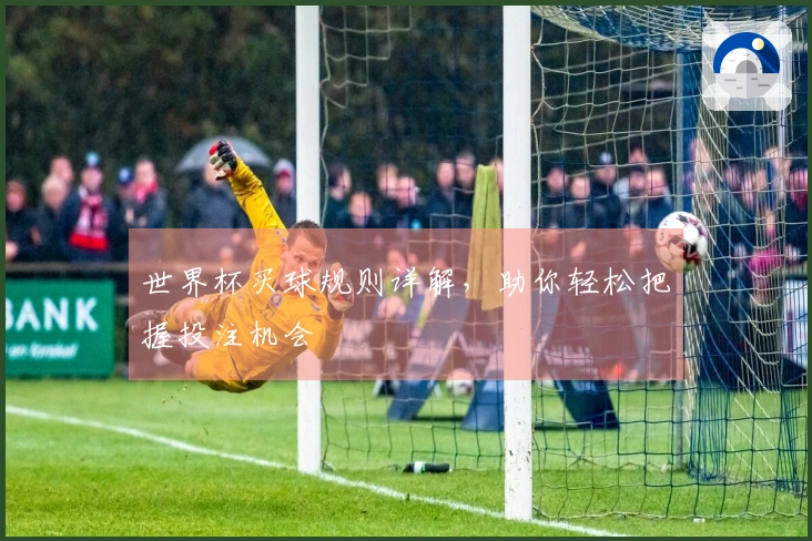 世界杯买球规则详解，助你轻松把握投注机会