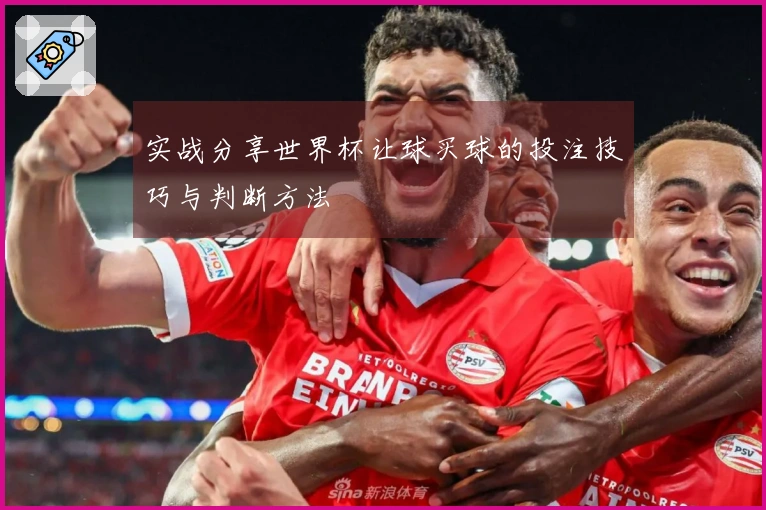 实战分享世界杯让球买球的投注技巧与判断方法
