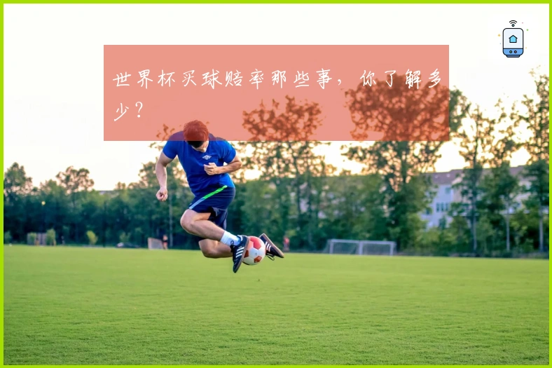 世界杯买球赔率那些事，你了解多少？