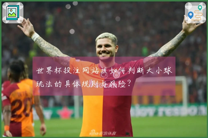 世界杯投注网站该如何判断大小球玩法的具体规则与风险？