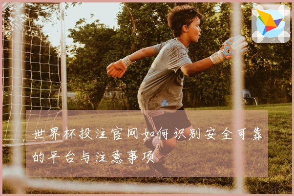 世界杯投注官网如何识别安全可靠的平台与注意事项