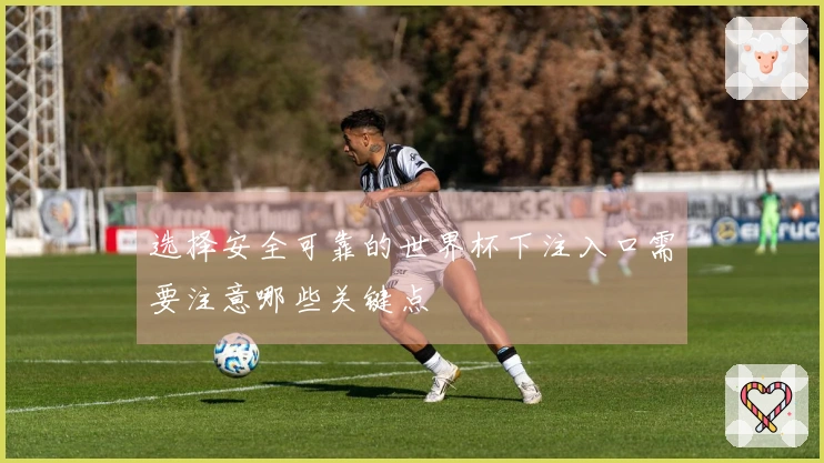 选择安全可靠的世界杯下注入口需要注意哪些关键点