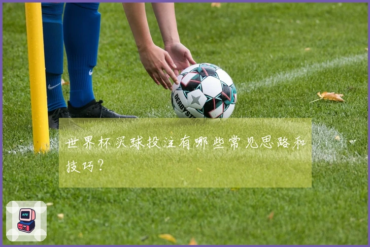 世界杯买球投注有哪些常见思路和技巧？