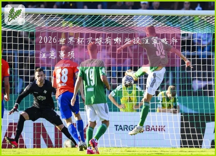 2026世界杯买球有哪些投注策略和注意事项