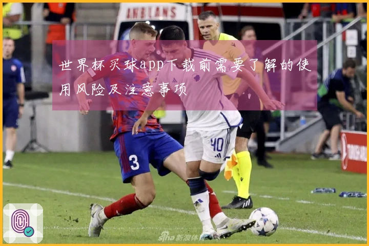 世界杯买球app下载前需要了解的使用风险及注意事项