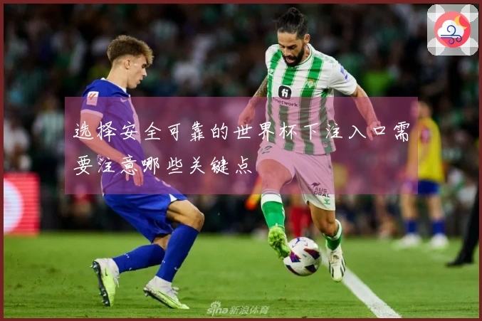 选择安全可靠的世界杯下注入口需要注意哪些关键点