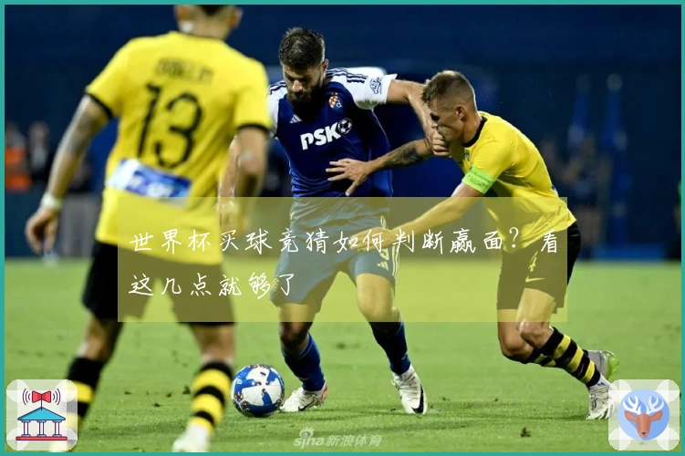 世界杯买球竞猜如何判断赢面？看这几点就够了