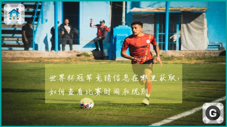 世界杯冠军竞猜信息在哪里获取，如何查看比赛时间和规则