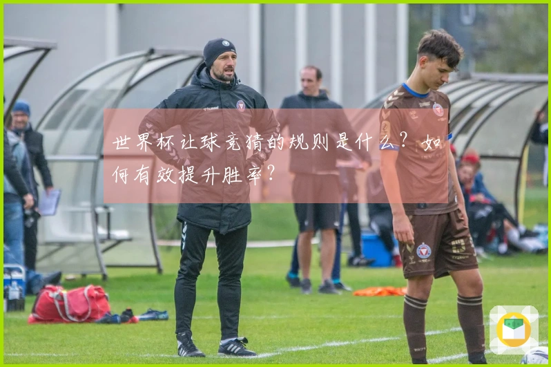 世界杯让球竞猜的规则是什么？如何有效提升胜率？