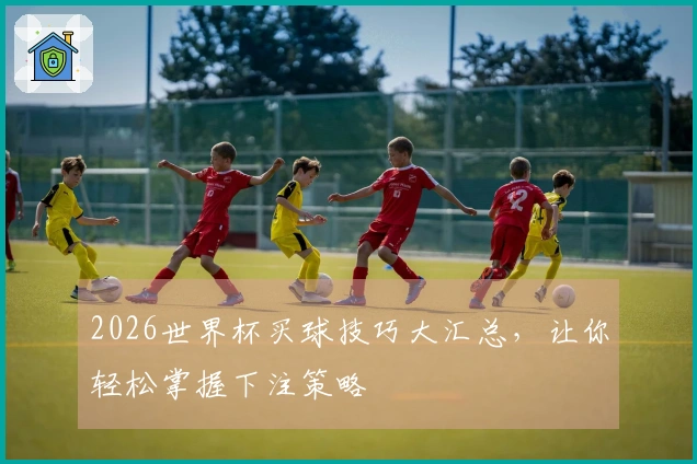 2026世界杯买球技巧大汇总，让你轻松掌握下注策略