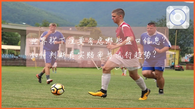 世界杯下注要考虑哪些盘口信息？如何判断真实赔率与流行趋势？