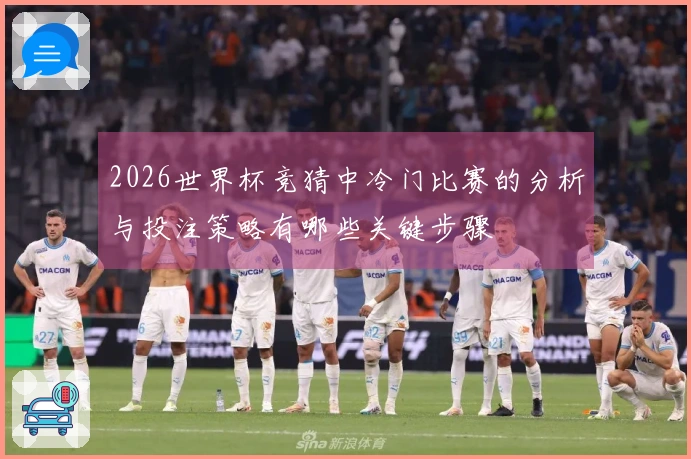 2026世界杯竞猜中冷门比赛的分析与投注策略有哪些关键步骤