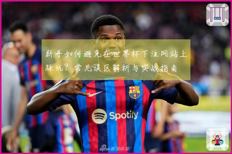 新手如何避免在世界杯下注网站上踩坑？常见误区解析与实战指南
