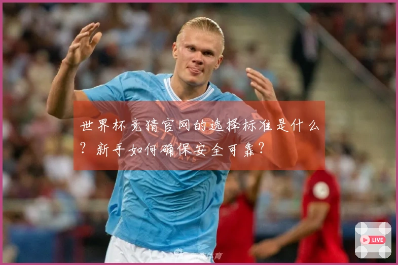 世界杯竞猜官网的选择标准是什么？新手如何确保安全可靠？