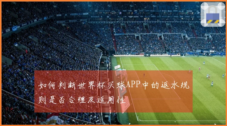 如何判断世界杯买球APP中的返水规则是否合理及适用性