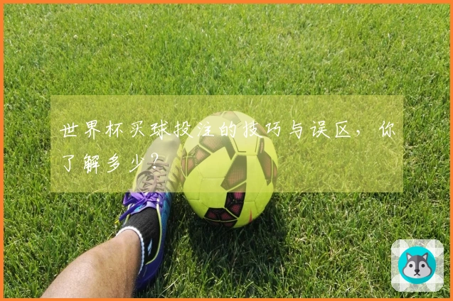 世界杯买球投注的技巧与误区，你了解多少？