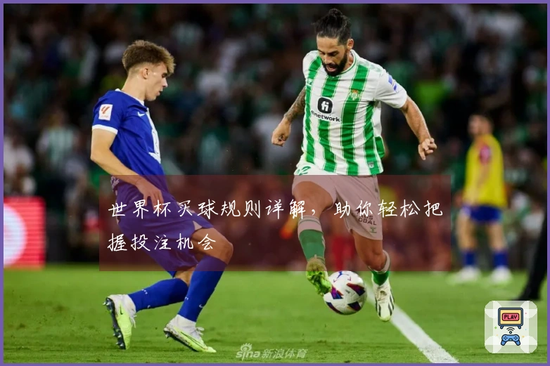 世界杯买球规则详解，助你轻松把握投注机会