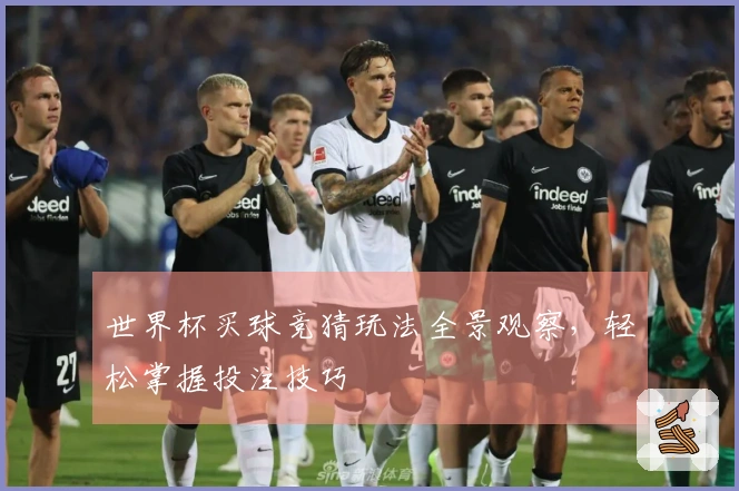 世界杯买球竞猜玩法全景观察，轻松掌握投注技巧