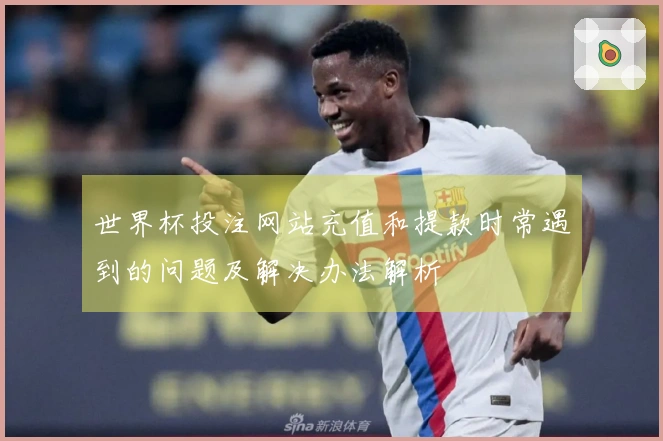 世界杯投注网站充值和提款时常遇到的问题及解决办法解析