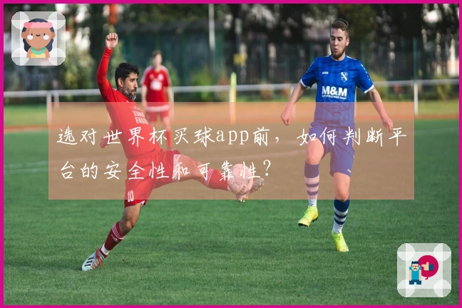 选对世界杯买球app前，如何判断平台的安全性和可靠性？