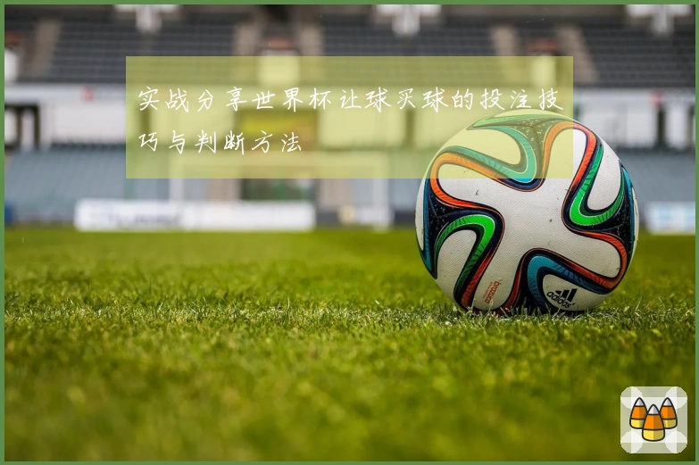 实战分享世界杯让球买球的投注技巧与判断方法